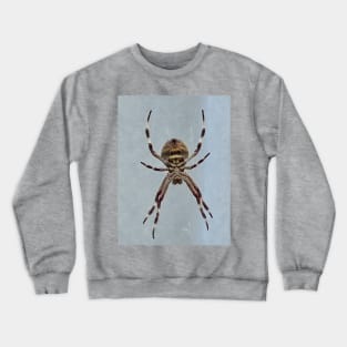 Old hairy legs Crewneck Sweatshirt